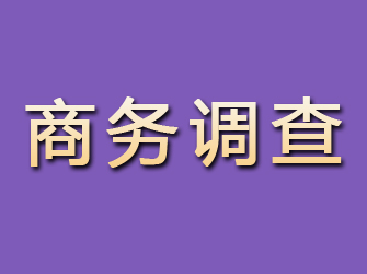 隆回商务调查